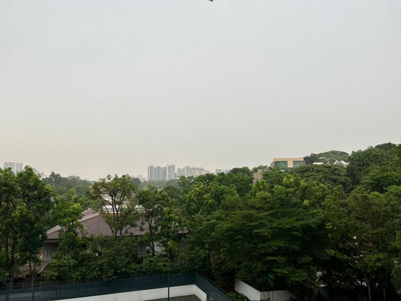 Condominium for Rent, Grange Residences Condominium For Rent, $21,000, 4 Bed 4 Bath 2,853 sqft $7.36 psf, SGD 21,000 | Freehold