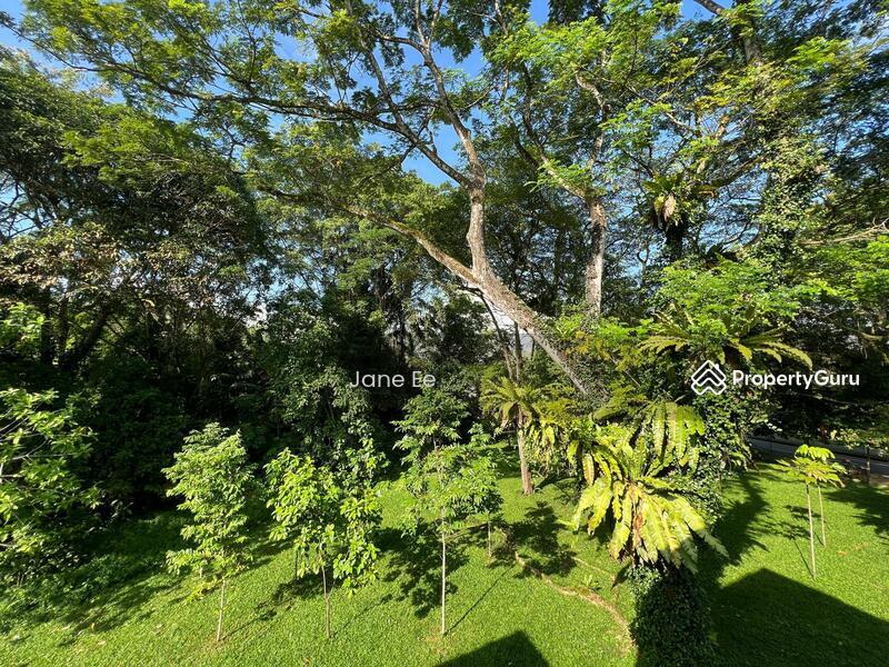Prop-GPT: Terrace: D21 Upper Bukit Timah Hindhede drive