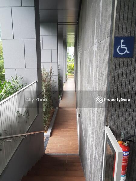 Condominium for Rent, The Peak @ Cairnhill II, SGD 5,000 | Freehold