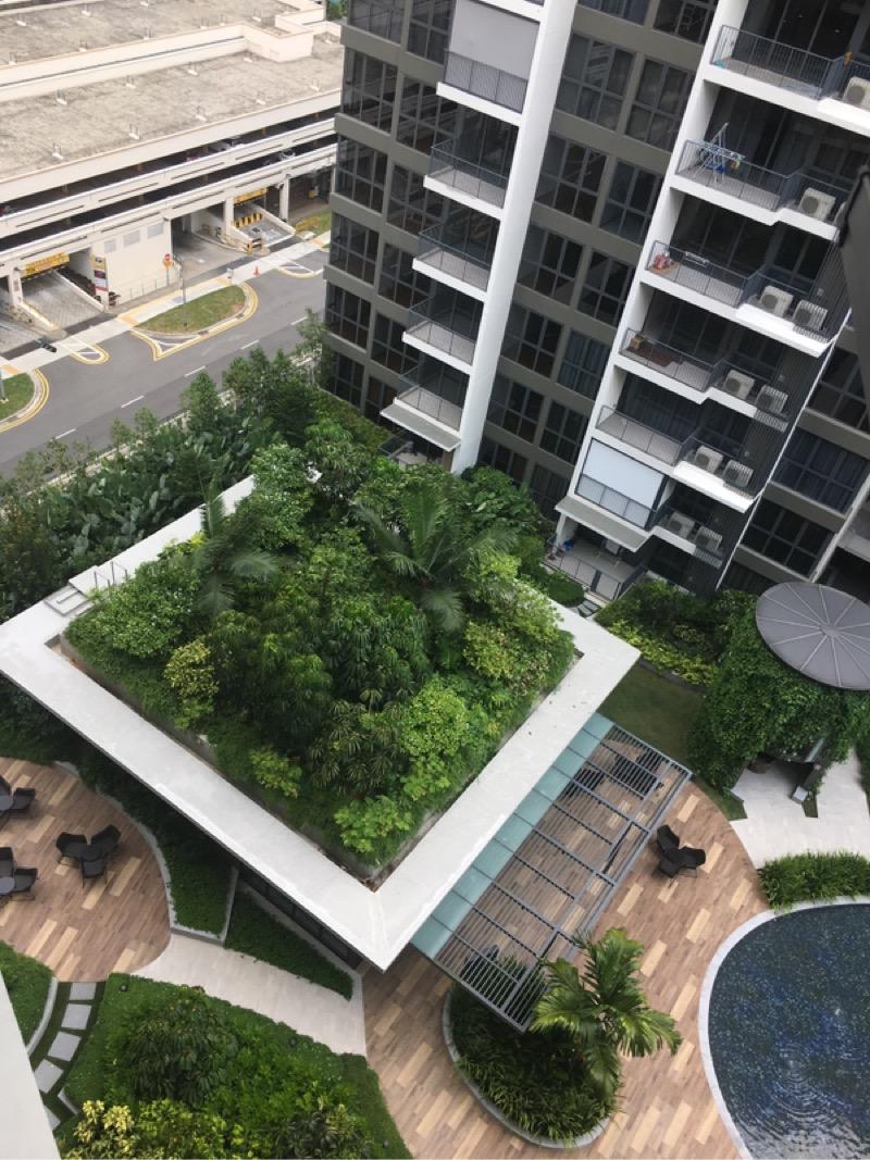 Condominium for Rent, North Park Residences  Condominium For Rent, $3,800, 2 Bed 2 Bath 732 sqft $5.19 psf, SGD 3,800