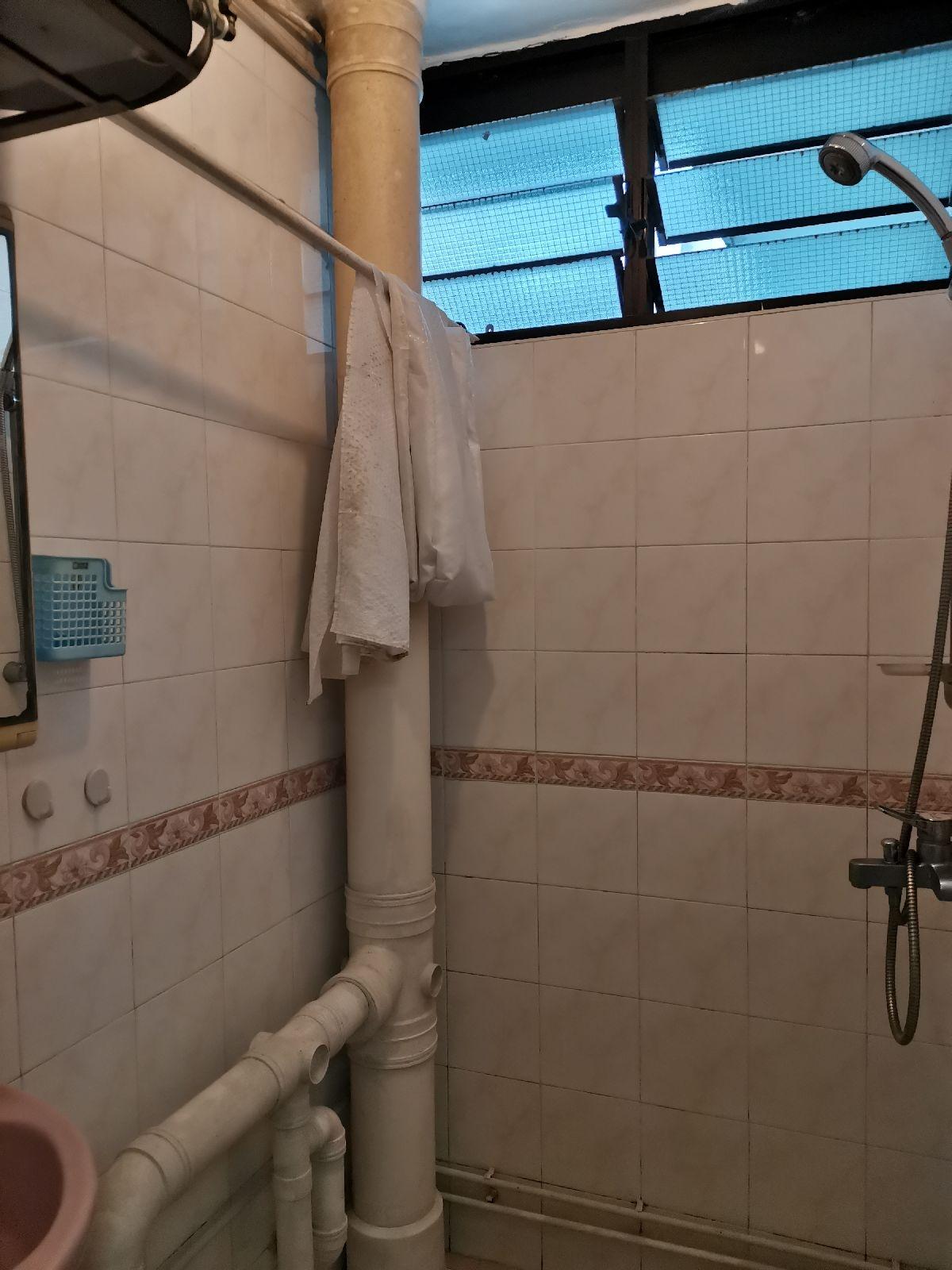 HDB Apartment for Rent: Holland, D10, 270001