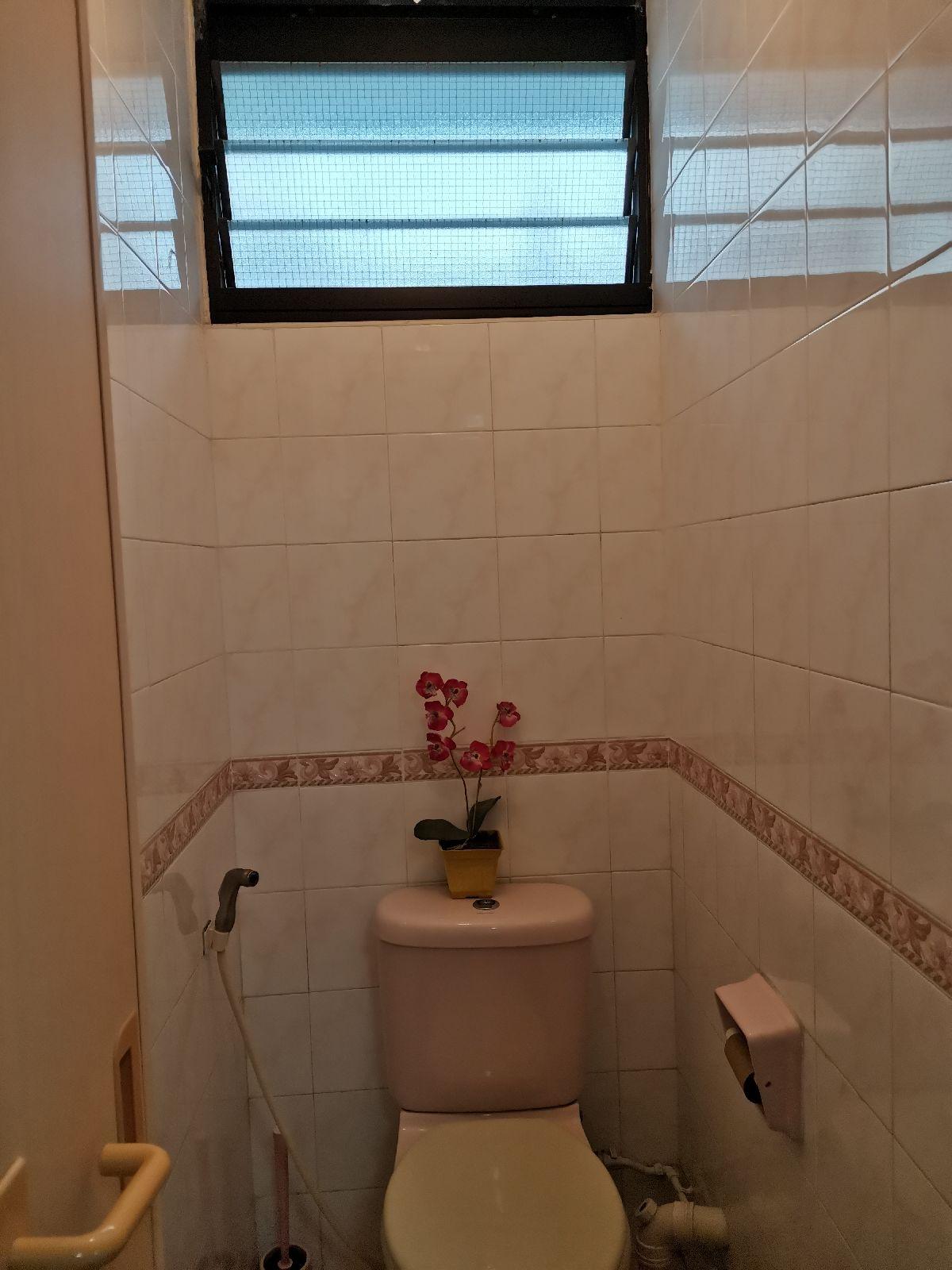 HDB Apartment for Rent: Holland, D10, 270001