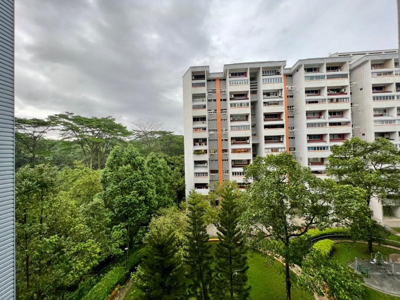 HDB Apartment for Rent: D05, 120113