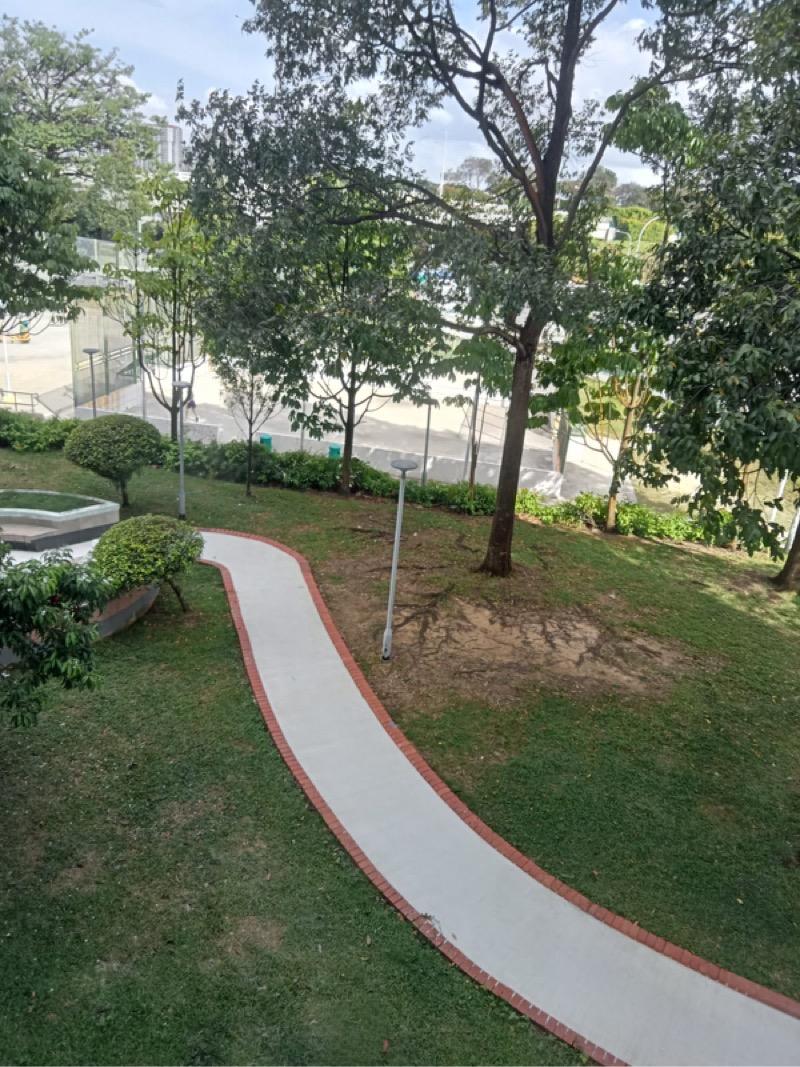 HDB Apartment for Rent, 564 Cheng San Place HDB Apartment Room Rental, $1,800, 1 Bed 2 Bath 861 sqft $2.09 psf, SGD 1,800 | 99-year Leasehold