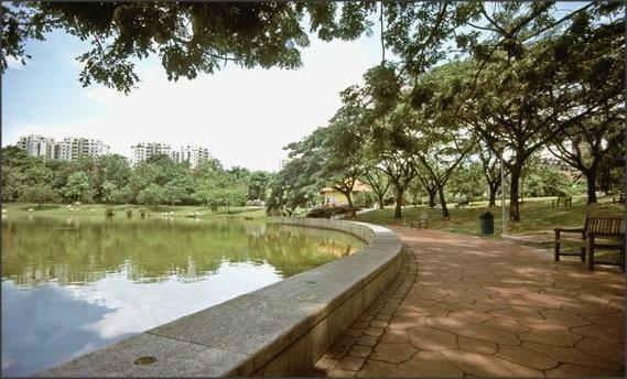 Modern cheap hougang mrt master room ensuite bathroom rental lease land house Terraced House Room Rental, $1,700, 1 Bed 1 Bath 150 sqft $5.67 psf