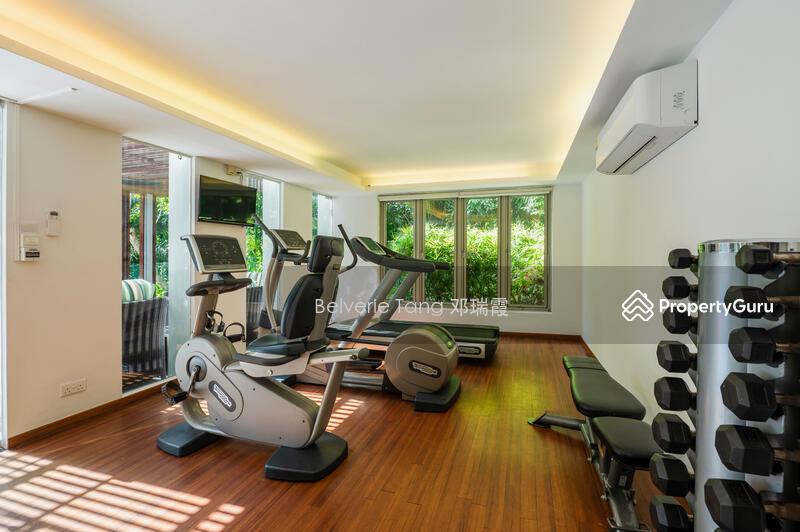 Apartment for Rent, Nassim Regency, SGD 11,400 | Freehold