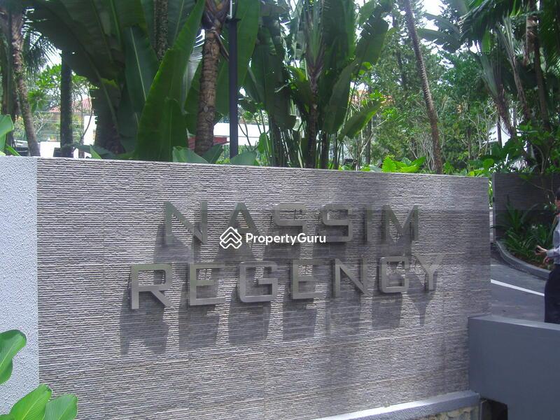 Apartment for Rent, Nassim Regency, SGD 11,400 | Freehold