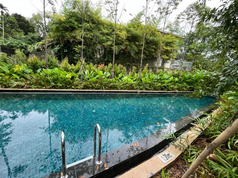 Condominium for Rent, Mayfair Gardens Condominium For Rent, $4,900, 2 Bed 2 Bath 753 sqft $6.51 psf, SGD 4,900