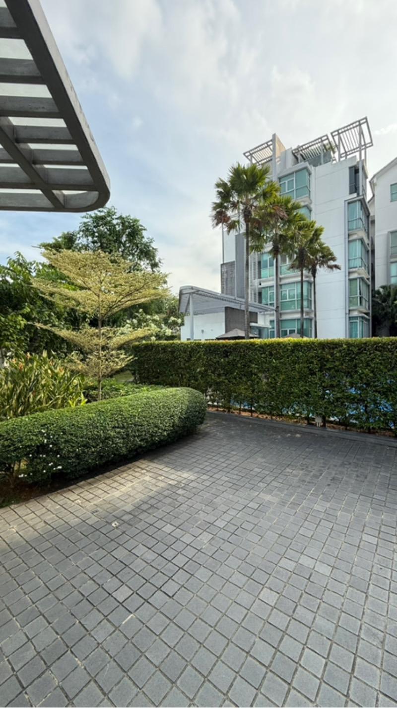 Apartment for Rent, D'Pavilion Apartment For Rent, $4,850, 2 Bed 2 Bath 1,237 sqft $3.92 psf, SGD 4,850 | Freehold