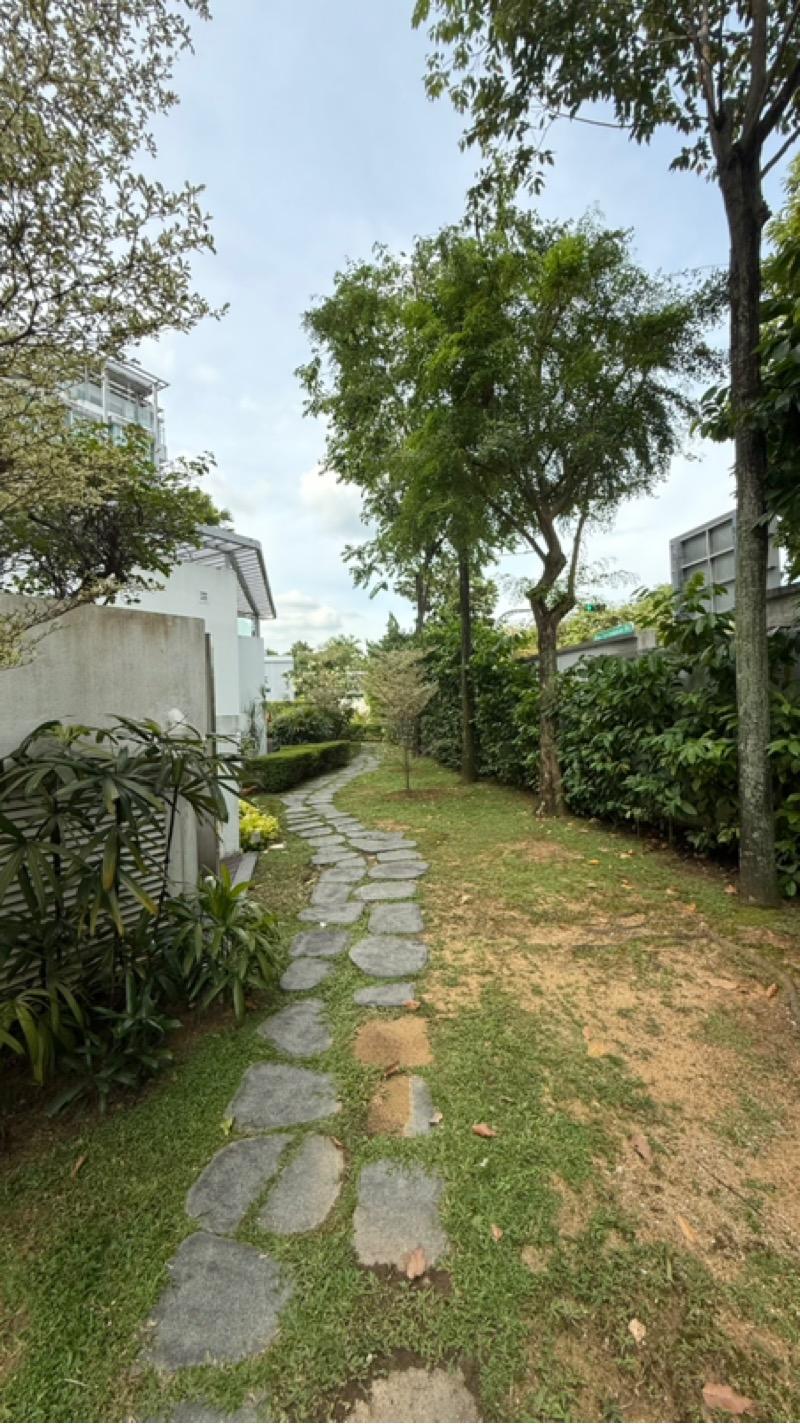 Apartment for Rent, D'Pavilion Apartment For Rent, $4,850, 2 Bed 2 Bath 1,237 sqft $3.92 psf, SGD 4,850 | Freehold