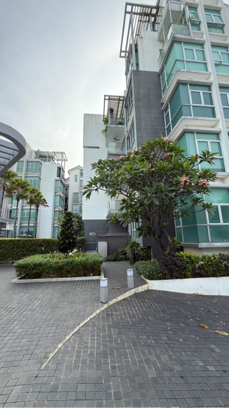 Apartment for Rent, D'Pavilion Apartment For Rent, $4,850, 2 Bed 2 Bath 1,237 sqft $3.92 psf, SGD 4,850 | Freehold
