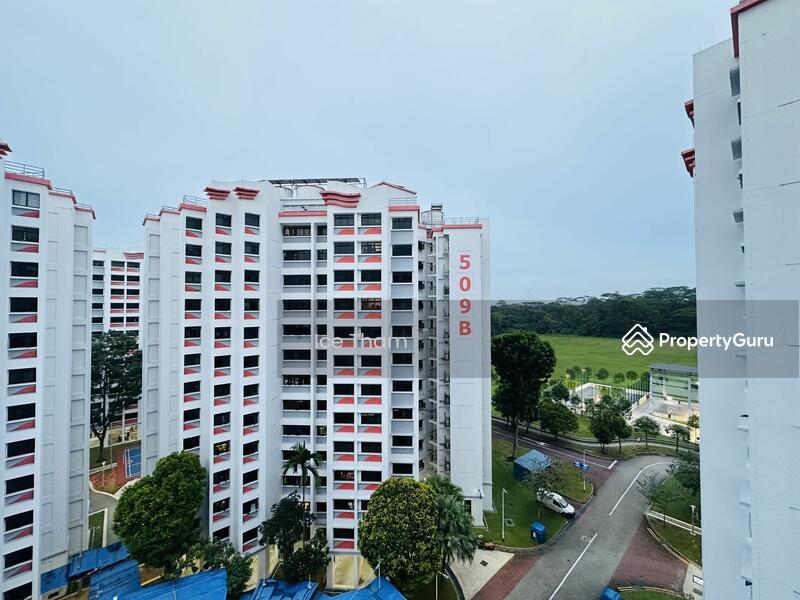 HDB Flat for Rent, 508B Wellington Circle, SGD 899 | 99-year lease