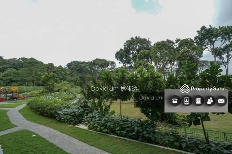 Condominium for Rent, Kingsford Hillview Peak, SGD 2,900 | 99-year lease
