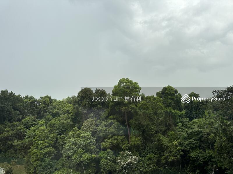 Apartment for Rent, Lakeview Estate, SGD 4,500 | 99-year lease