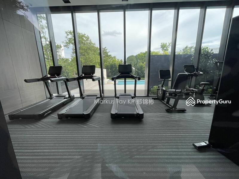 Condominium for Rent, 19 Nassim, SGD 14,000 | 99-year lease
