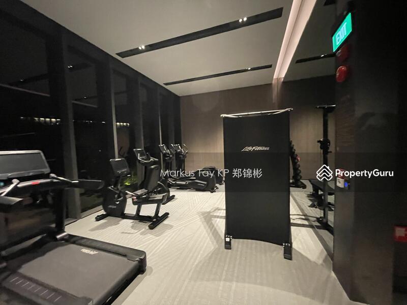 Condominium for Rent, 19 Nassim, SGD 14,000 | 99-year lease