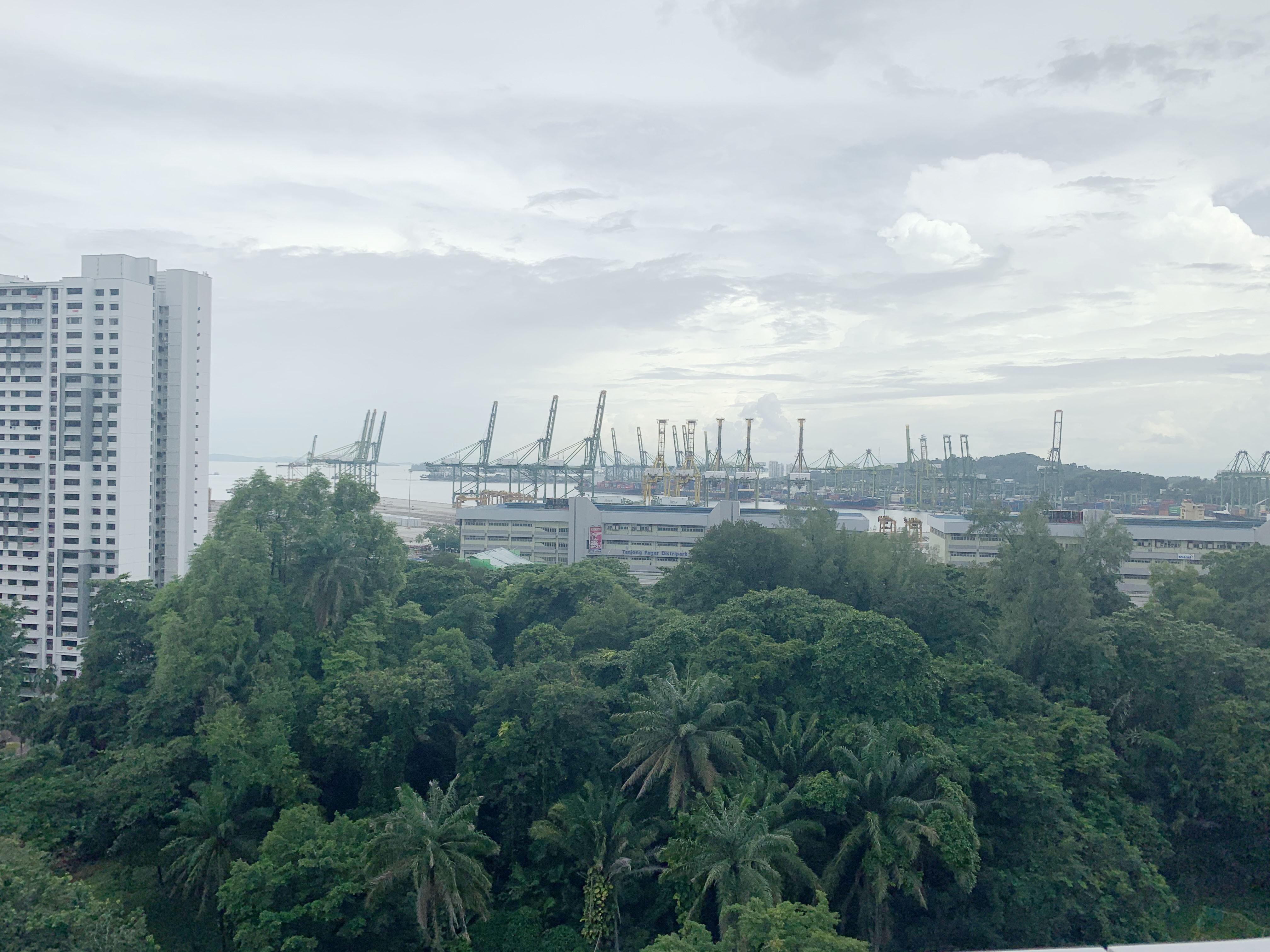 Condominium for Rent, Spottiswoode 18, SGD 3,200 | Freehold