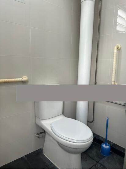 HDB Apartment for Rent: D20, 570125