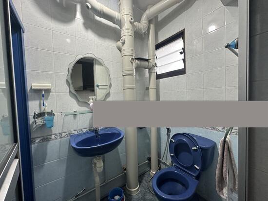 HDB Apartment for Rent: Boon Lay, D22, 643276