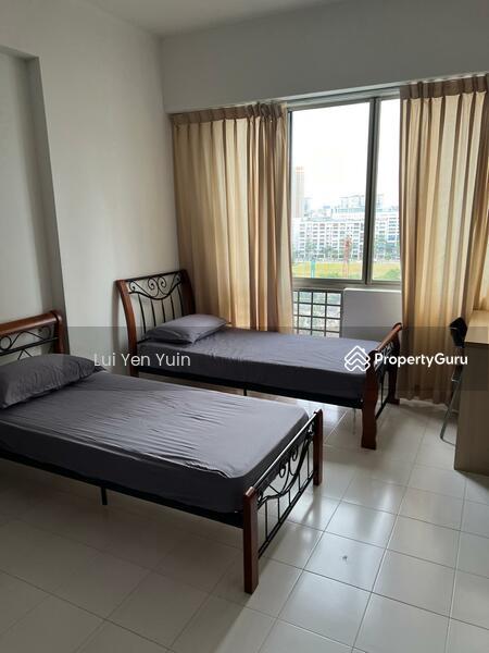 Apartment for Rent, Ritz Mansions, SGD 1,399 | Freehold