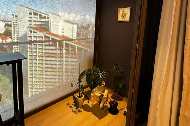 The Tre Ver Condominium For Rent, $3,999, 2 Bed 1 Bath 614 sqft $6.51 psf