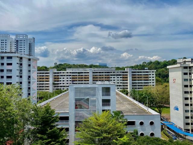 HDB Apartment for Rent: Telok Blangah, D04, 100053