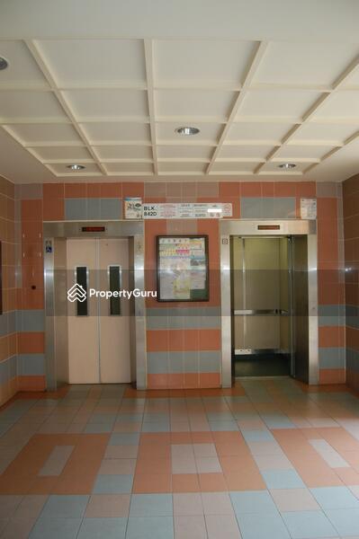 HDB Flat for Rent, 842D Tampines Street 82, SGD 750 | 99-year lease