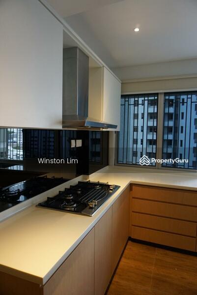 Apartment for Rent, Cairnhill Plaza, SGD 15,500 | Freehold