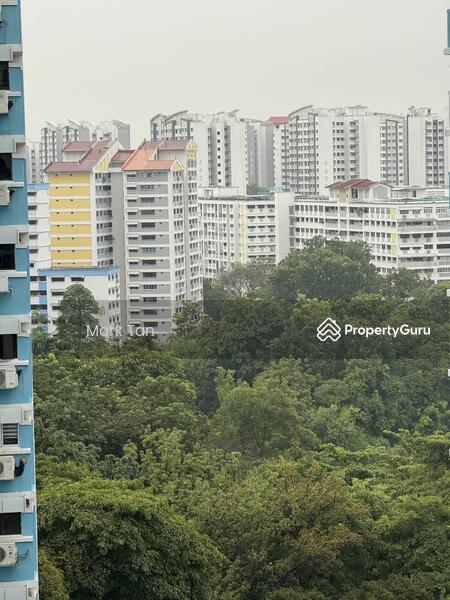 HDB Flat for Rent, 537 Bukit Panjang Ring Road, SGD 3,800 | 99-year lease