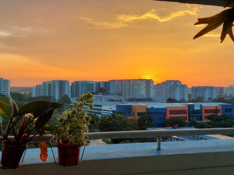 HDB Apartment for Rent, 288 Yishun Avenue 6 HDB Apartment Room Rental, $990, 1 Bed 1 Bath 139 sqft $7.12 psf, SGD 990 | 99-year Leasehold