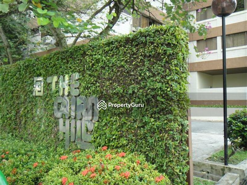 Condominium for Rent: Cairnhill, D09, 229740