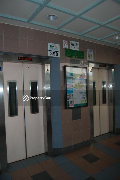 HDB Flat for Rent: D18, 520390