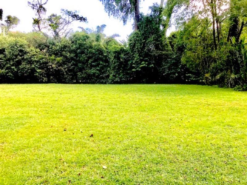 Bungalow - Good Class for Rent, Double storey house with lush greenery on large piece of land  Good Class Bungalow For Rent, $50,000, SGD 50,000