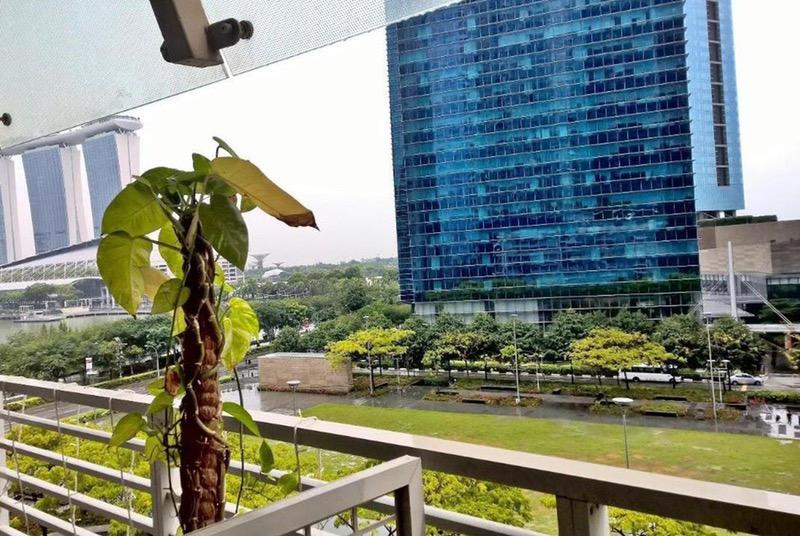 Apartment for Rent, The Sail @ Marina Bay Apartment Room Rental, $2,900, 1 Bed 1 Bath 200 sqft $14.50 psf, SGD 2,900 | 99-year Leasehold