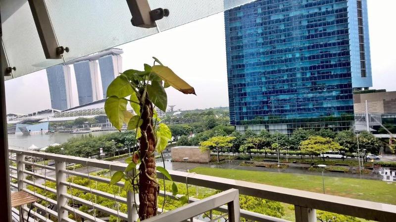 Apartment for Rent, The Sail @ Marina Bay Apartment Room Rental, $2,900, 1 Bed 1 Bath 200 sqft $14.50 psf, SGD 2,900 | 99-year Leasehold