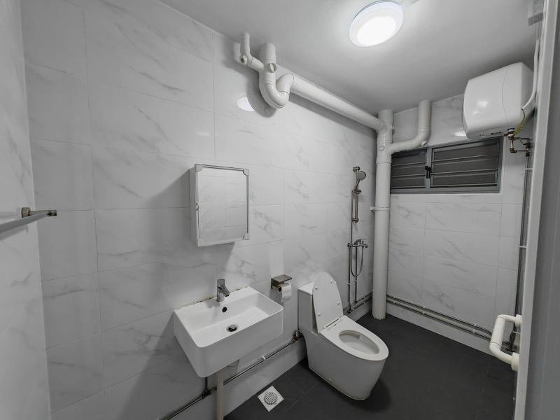 HDB Apartment for Rent: D21, 590008