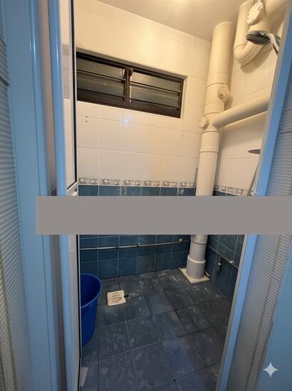 HDB Apartment for Rent: Boon Lay, D22, 640186