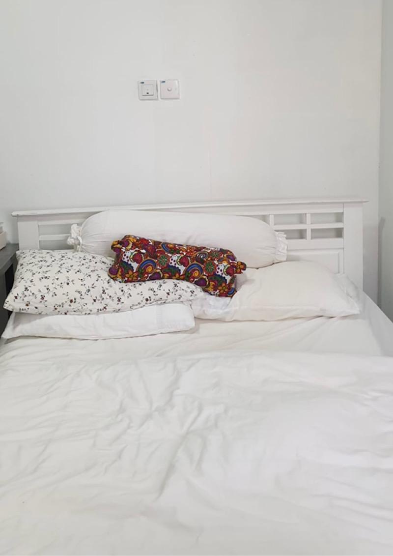 Apartment for Rent, Balestier Plaza Apartment Room Rental, $1,300, 1 Bed 1 Bath 110 sqft $11.82 psf, SGD 1,300