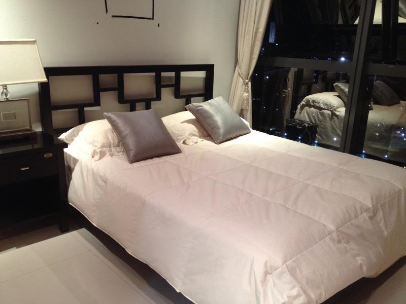 Apartment for Rent, High Street Centre Apartment Room Rental, $2,900, 1 Bed 1 Bath 220 sqft $13.18 psf, SGD 2,900
