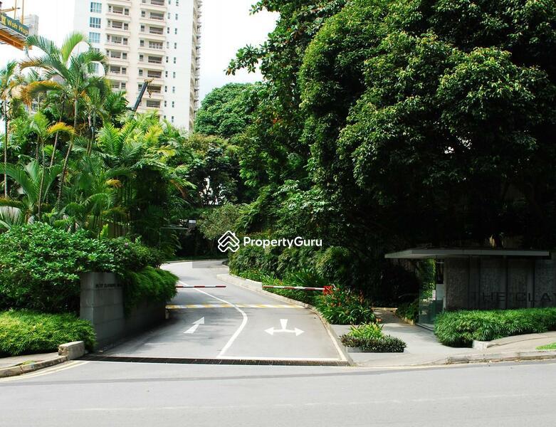 Condominium for Rent, The Claymore, SGD 18,000 | Freehold