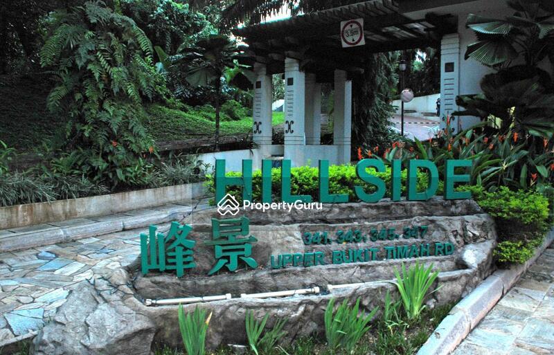 Condominium for Rent: Upper Bukit Timah, D21, 588195