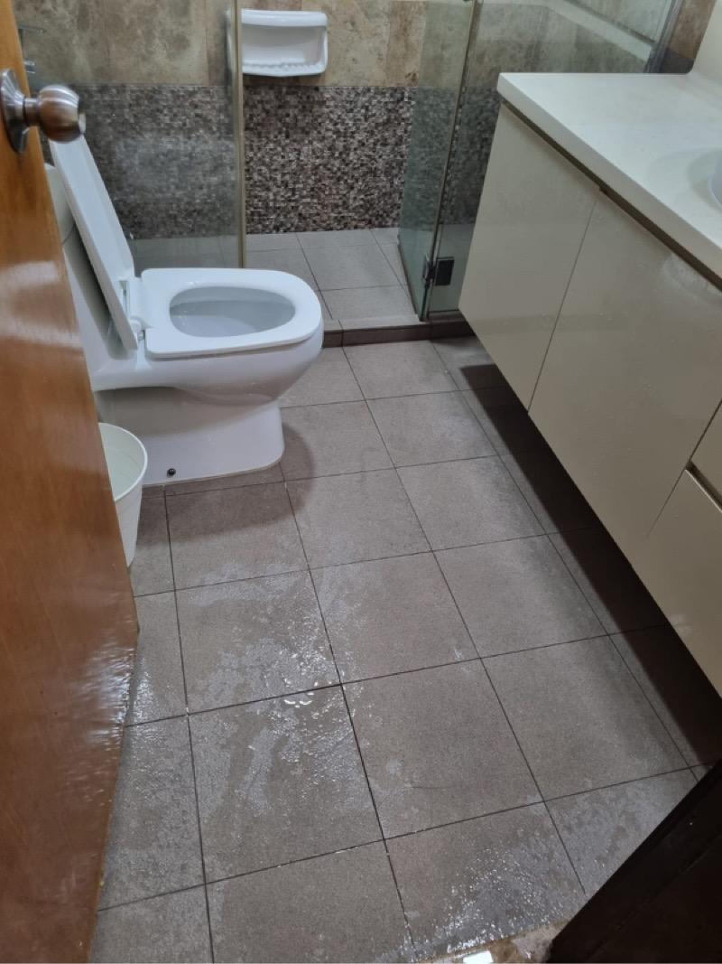 Condominium for Rent, Regent Heights Condominium Room Rental, $1,249, 1 Bed 1 Bath 150 sqft $8.33 psf, SGD 1,249 | 99-year Leasehold