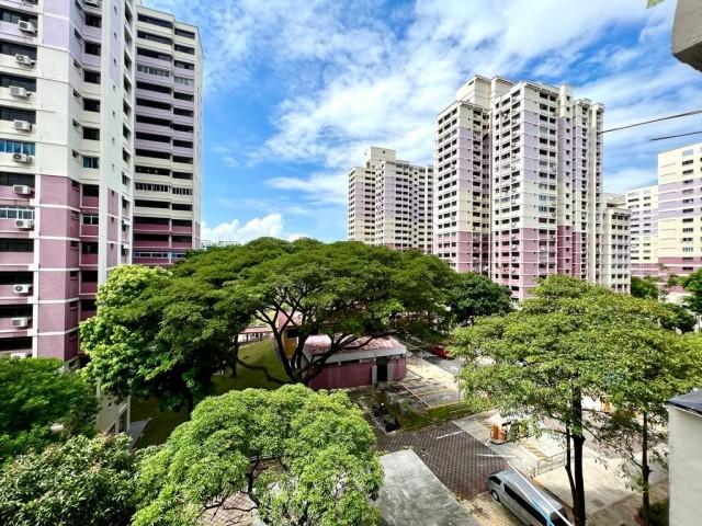 HDB Apartment for Rent: D03, 150037