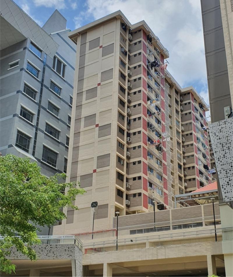 HDB Apartment for Rent, 262 Waterloo Street HDB Apartment For Rent, $4,800, 3 Bed 1 Bath 882 sqft $5.44 psf, SGD 4,800 | 99-year Leasehold