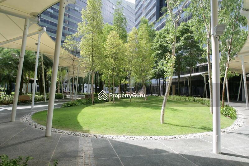 Condominium for Rent, Orchard Scotts, SGD 12,200 | 99-year lease