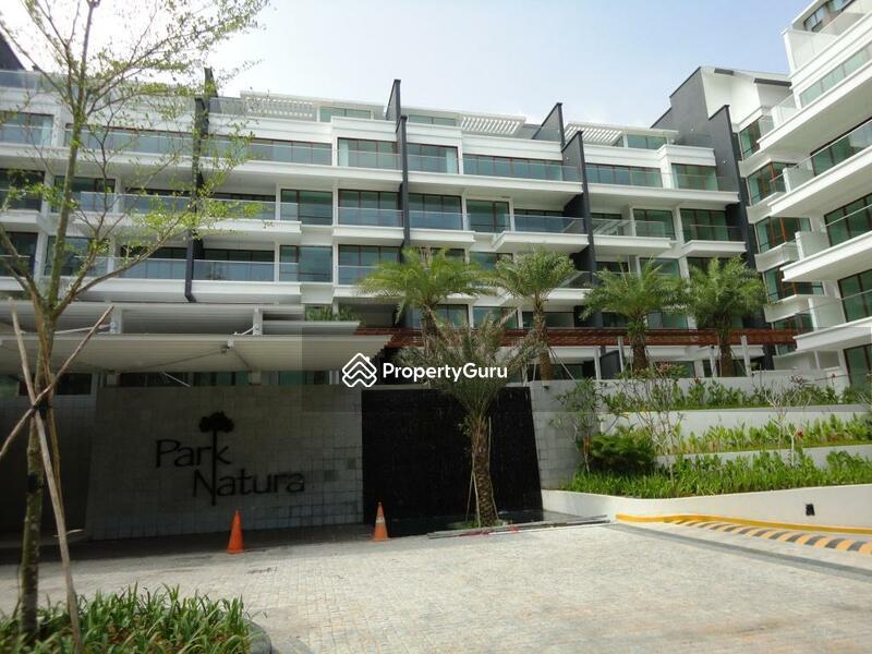 Condominium for Rent, Park Natura, SGD 5,500 | Freehold