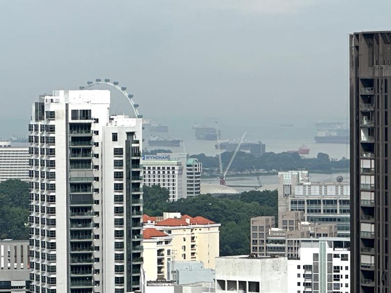 Condominium for Rent, Irwell Hill Residences Condominium For Rent, $5,300, 2 Bed 1 Bath 603 sqft $8.79 psf, SGD 5,300 | 99-year Leasehold