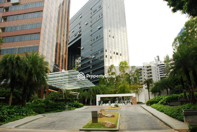Condominium for Rent, Orchard Scotts, SGD 12,200 | 99-year lease