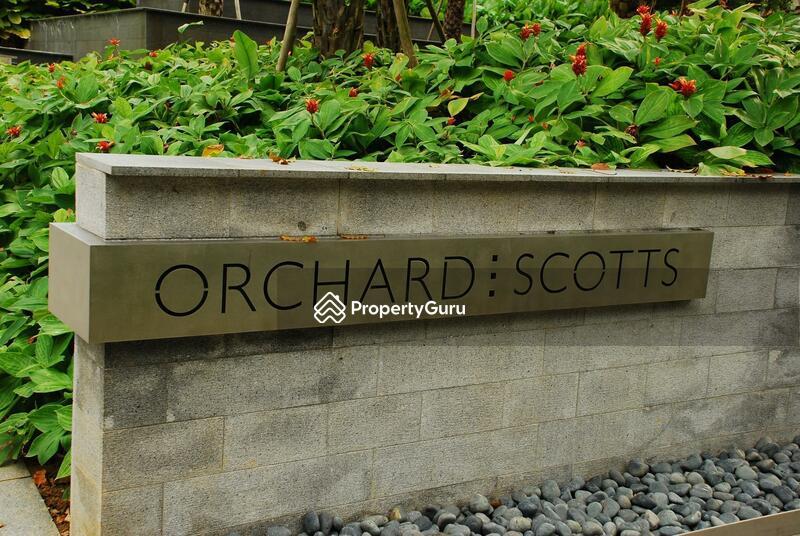 Condominium for Rent, Orchard Scotts, SGD 12,200 | 99-year lease