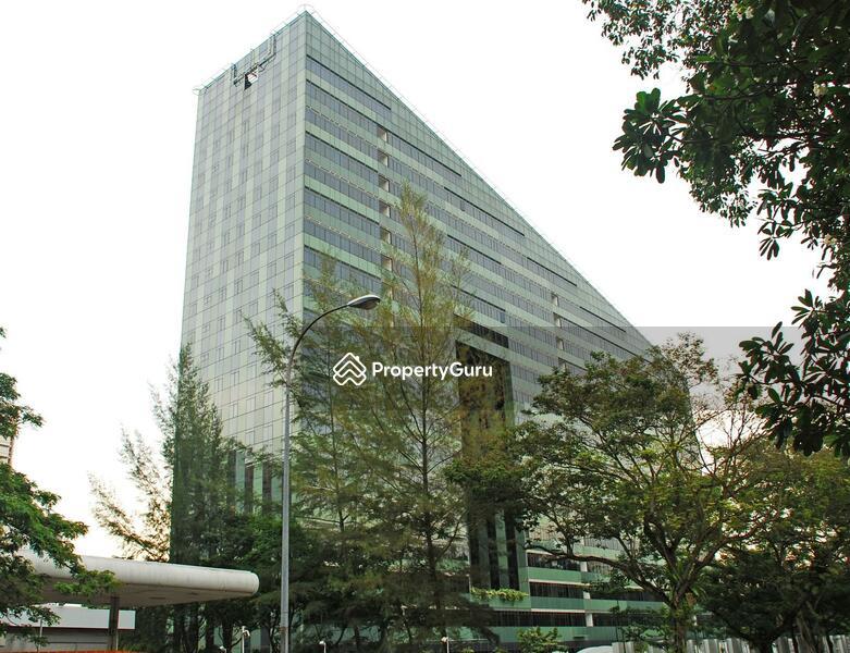Condominium for Rent, Orchard Scotts, SGD 12,200 | 99-year lease